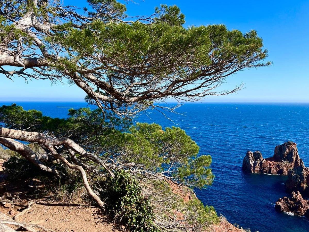 Les Cactus Frejus Plage 外观 照片