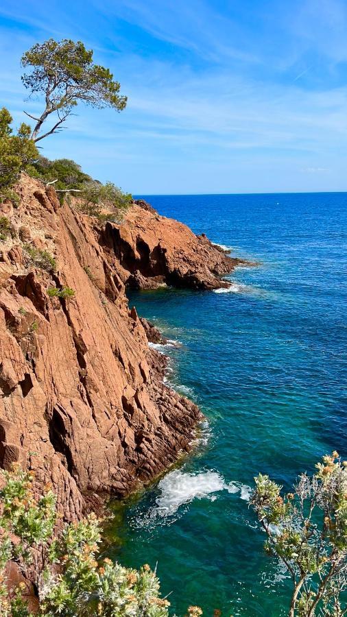 Les Cactus Frejus Plage 外观 照片