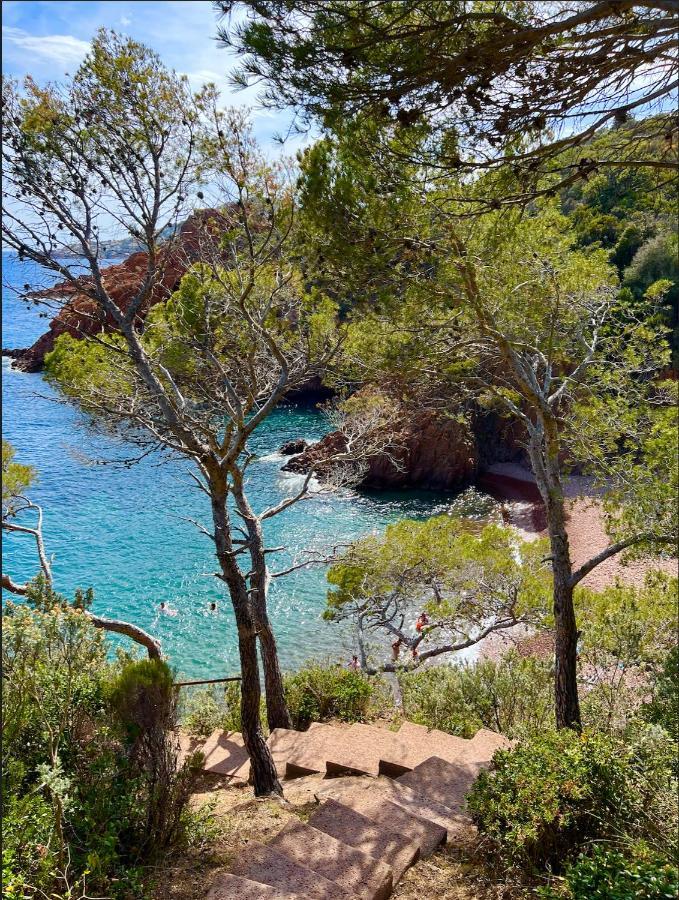Les Cactus Frejus Plage 外观 照片