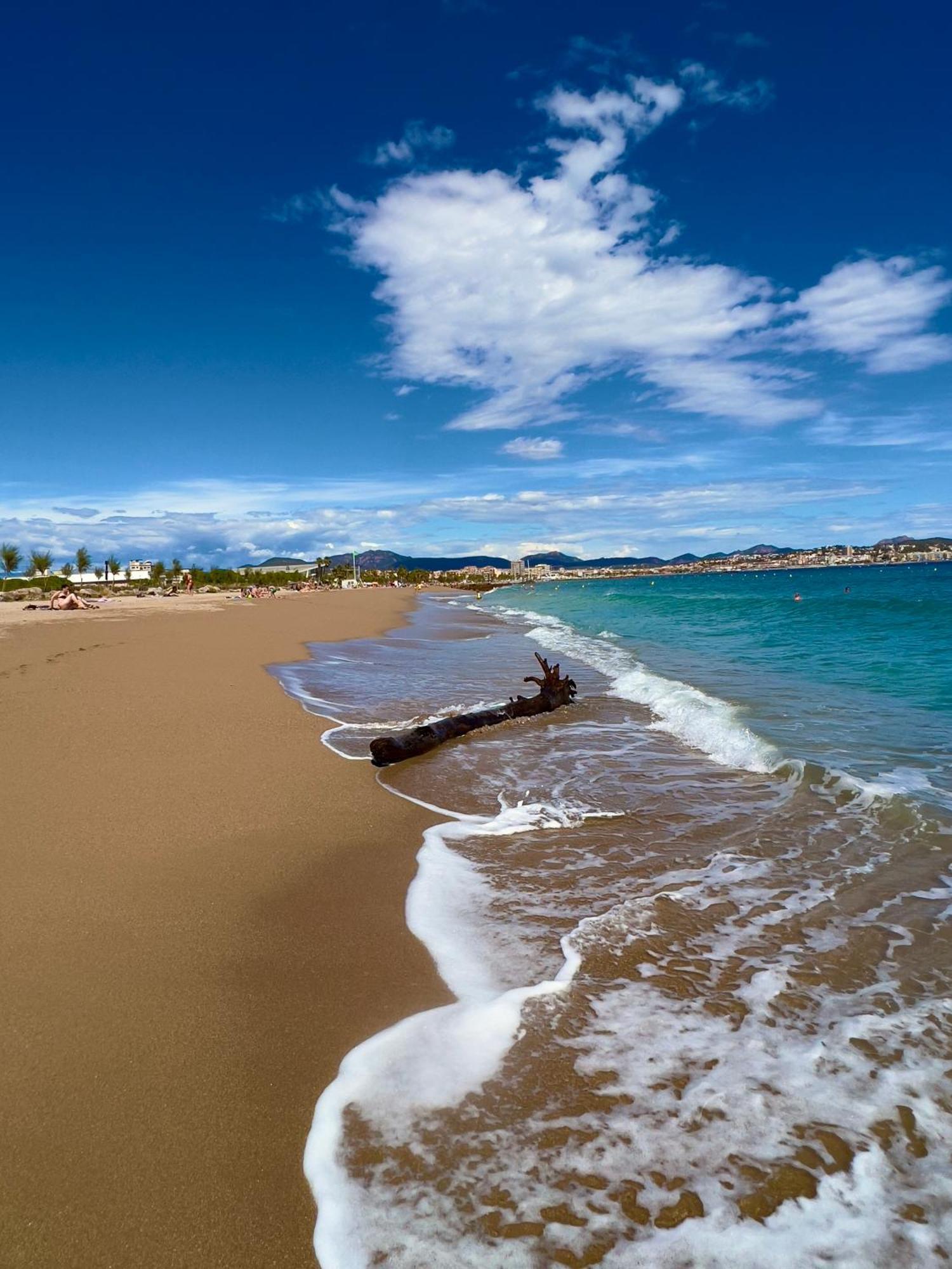 Les Cactus Frejus Plage 外观 照片